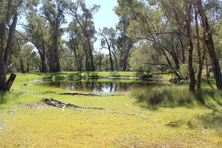 Main view of Homely rural property listing, 142 Leeder Road, Mokine via, Clackline WA 6564