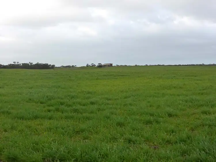 Sixth view of Homely rural property listing, 571 Kangaroo Road, Langhorne Creek SA 5255