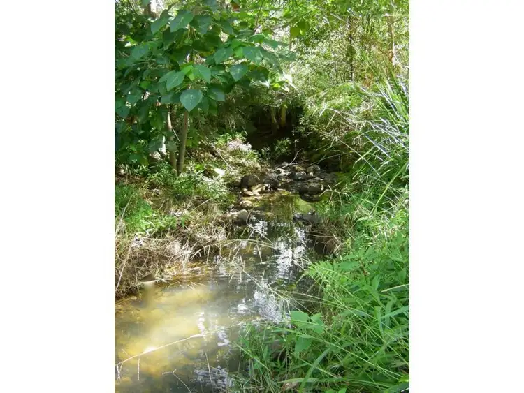 Fourth view of Homely land listing, Lot 5 Tulsi Lane, Nimbin NSW 2480