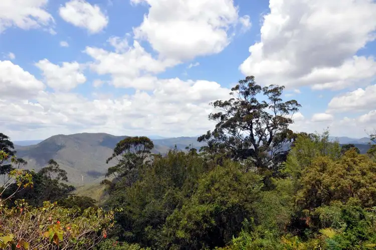 Main view of Homely house listing, 53 Landman Court, Tamborine Mountain QLD 4272