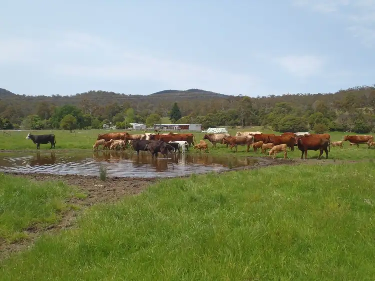 Fourth view of Homely rural property listing, 1615 Monaro Highway, Noorinbee VIC 3890