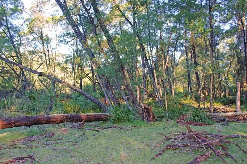 Main view of Homely rural property listing, Lot 33 Egans Road, Nelligen NSW 2536