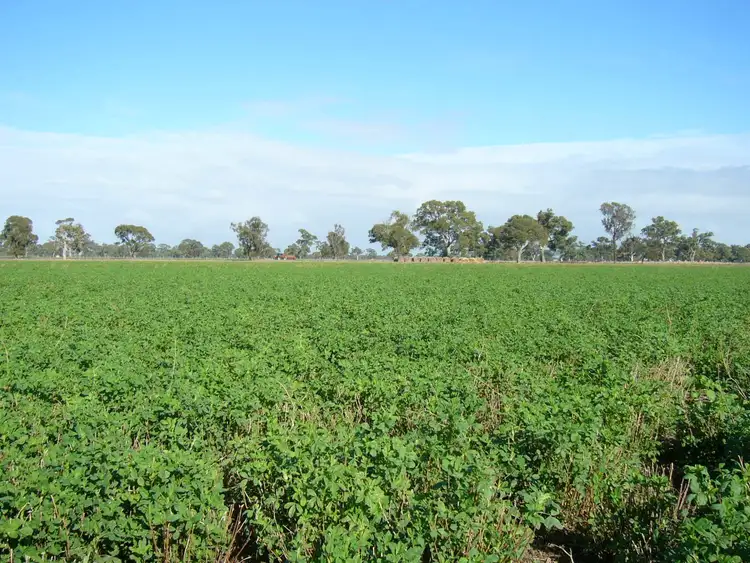 Third view of Homely rural property listing, 538 Jessie Road, Naracoorte SA 5271