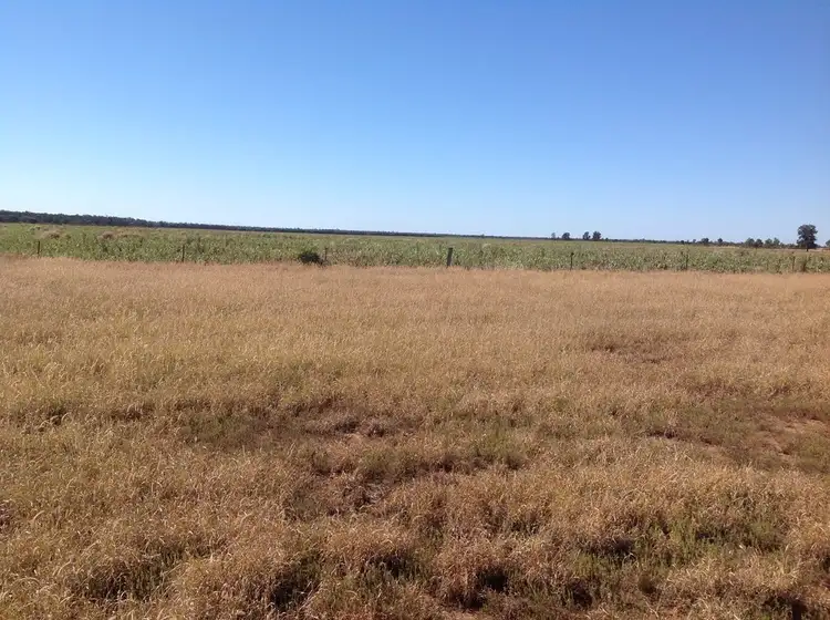 Sixth view of Homely rural property listing, " Wollambi ", Meandarra QLD 4422