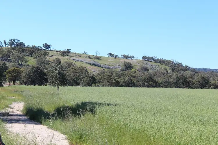Second view of Homely rural property listing, Lot 116 Spencers Brook Road, Mokine via Northam, Northam WA 6401