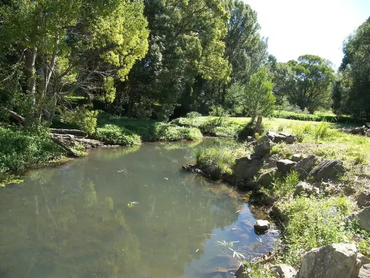 59 Crabbes Creek Rd, Crabbes Creek NSW 2483