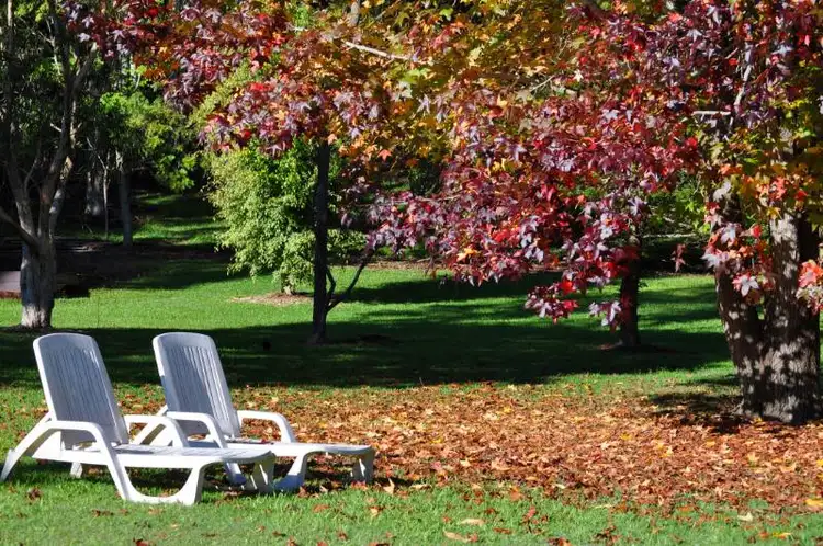 Second view of Homely rural property listing, Address available on request