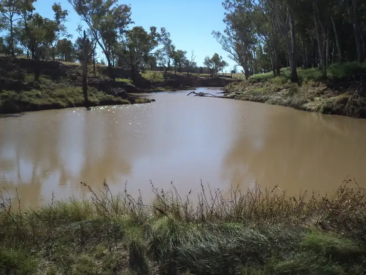 Second view of Homely rural property listing, 14635 "Camilaroi", Condamine QLD 4416