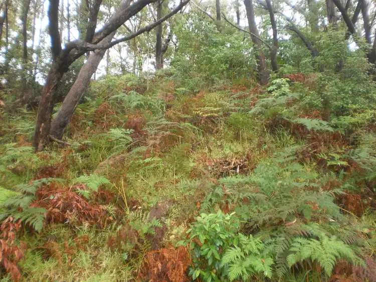 Second view of Homely land listing, 25 James Scott Crescent, Lemon Tree Passage NSW 2319