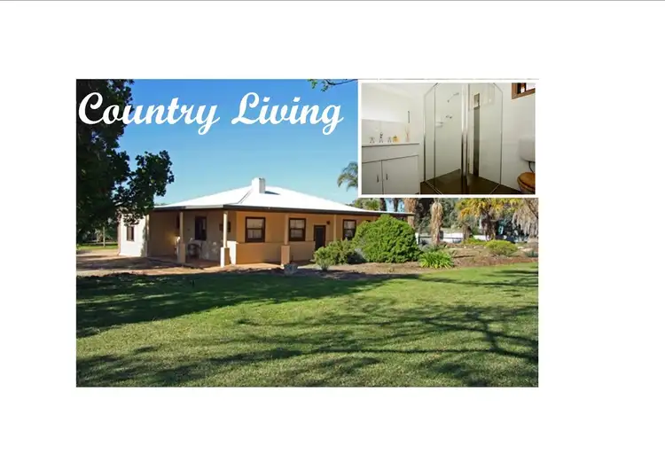 152 Balfour Ogilvy Road, Loxton SA 5333