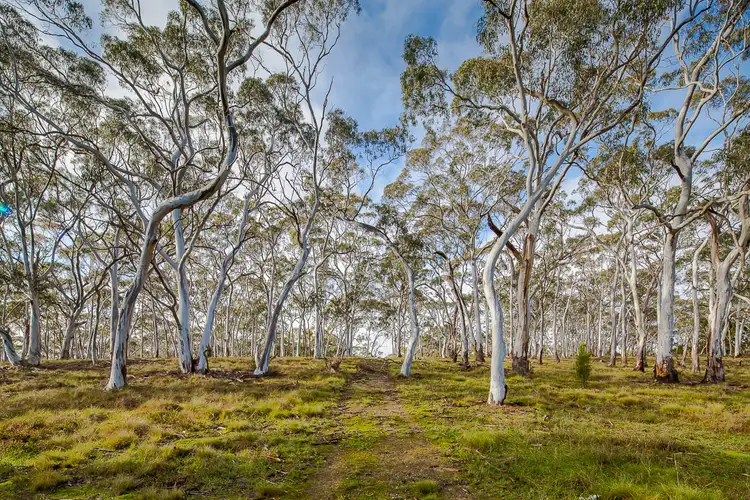 Fifth view of Homely house listing, 1119 Gillies Road, Ascot VIC 3364