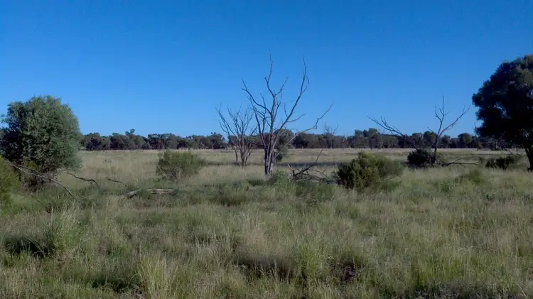 Fifth view of Homely rural property listing, '' PENAROO", Eulo QLD 4491