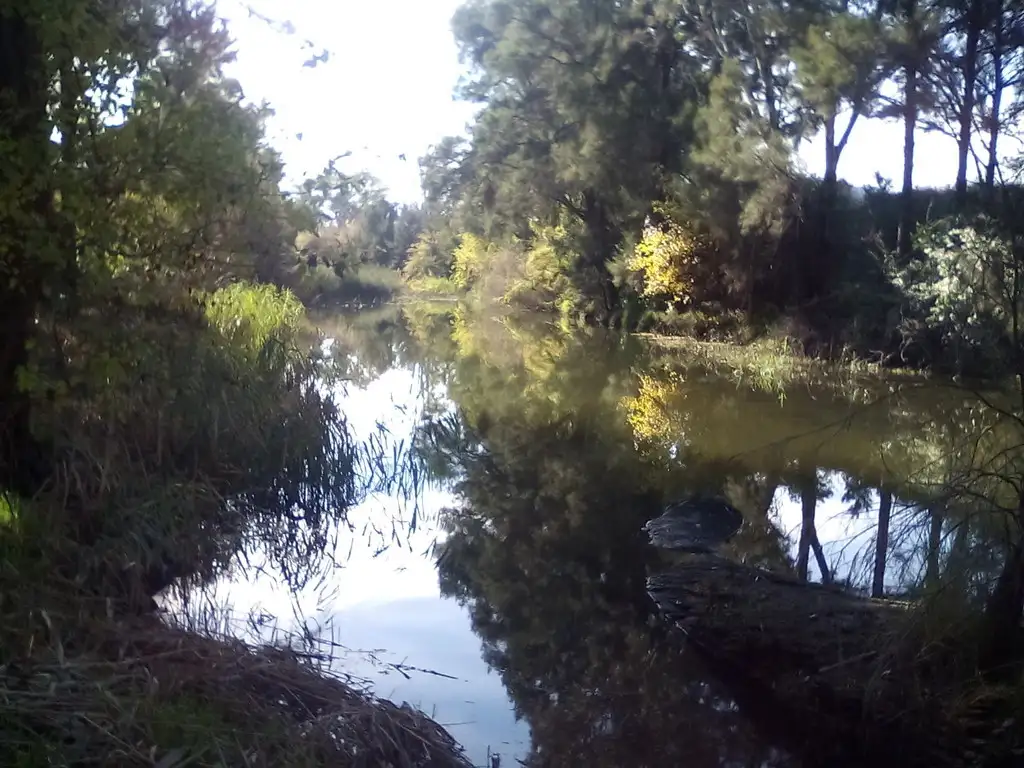 Main view of Homely rural property listing, 1055-1063 Armidale Road, Nemingha NSW 2340