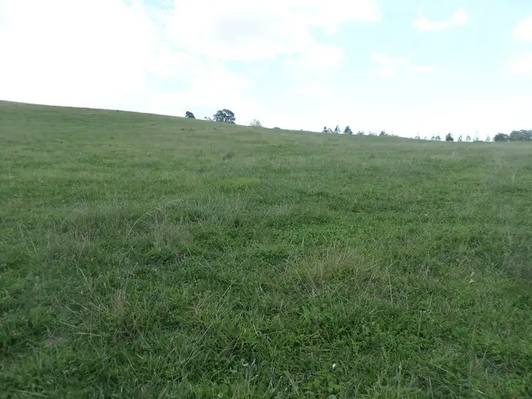 Fourth view of Homely rural property listing, 3396 Windellema Road, Windellama NSW 2580