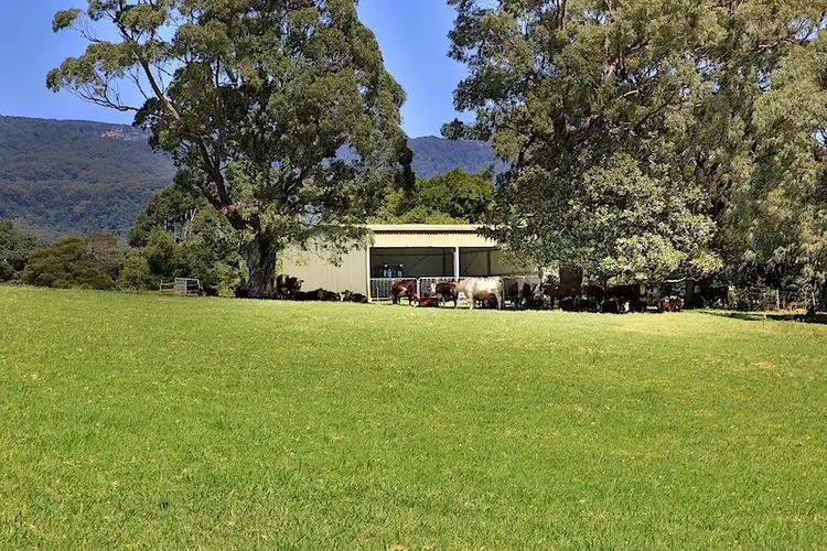 Seventh view of Homely rural property listing, 543 Jamberoo Road, Jamberoo NSW 2533