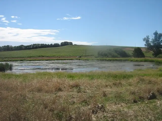 Third view of Homely rural property listing, - Oppenheims Road, Moriarty TAS 7307