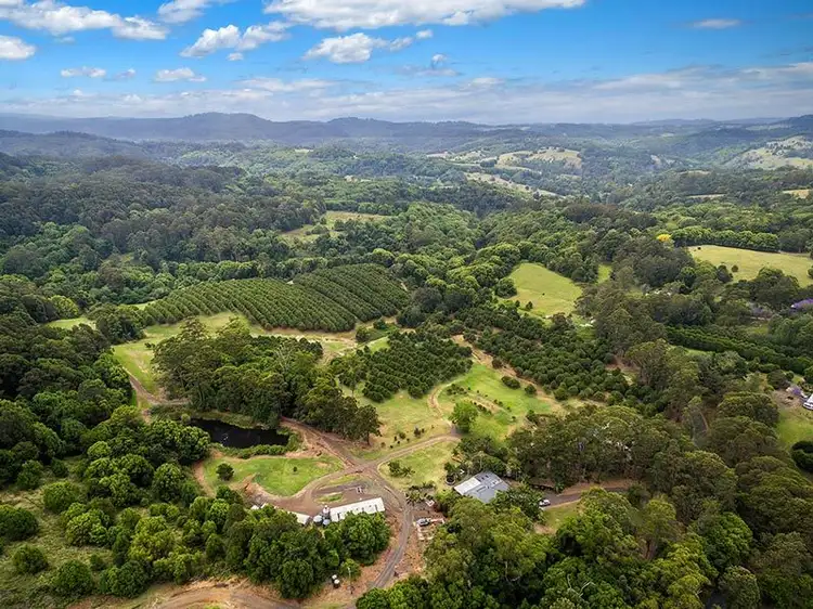 Fourth view of Homely rural property listing, # 191 Repentance Creek Road, Rosebank NSW 2480