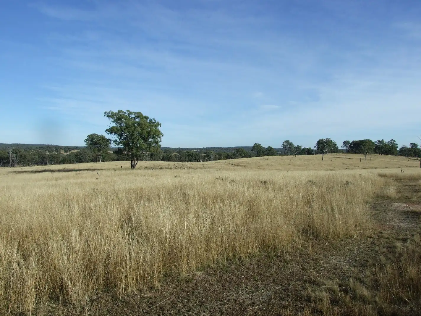 Main view of Homely rural property listing, 70 Mountain Maid Road, Greymare QLD 4370
