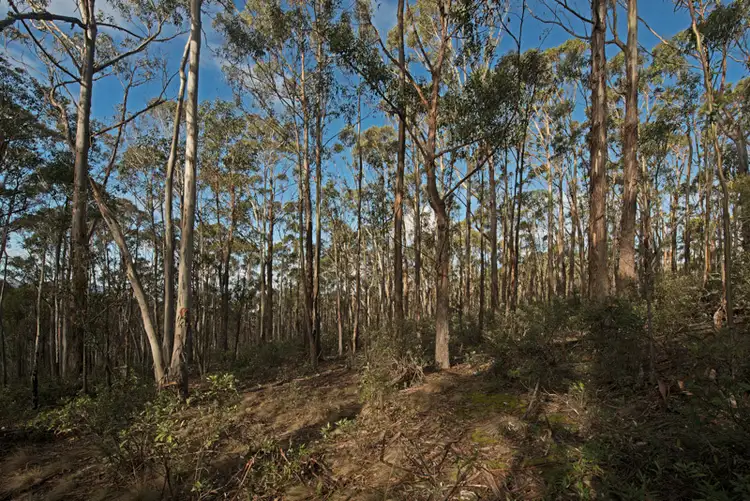 Seventh view of Homely land listing, Lot 5 Cousens Road, Glenlusk TAS 7012