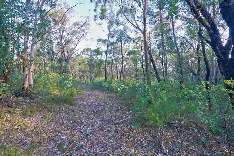 Fifth view of Homely rural property listing, 4 Hall Rd, Balmoral NSW 2571