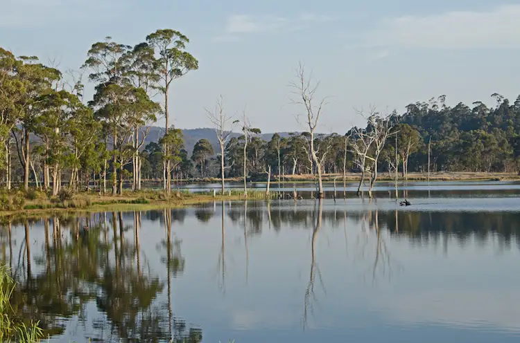 Second view of Homely rural property listing, 1204 Long Marsh Road, Lake Leake TAS 7210