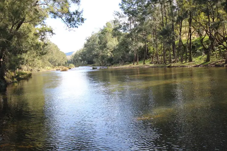 Main view of Homely rural property listing, Lot 1 Oxley Highway, Yarras NSW 2446