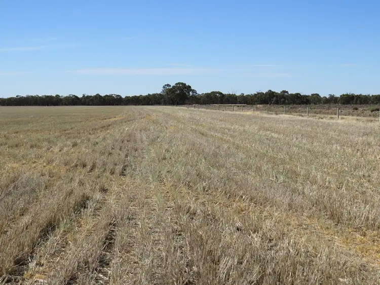 Third view of Homely rural property listing, "Corraleigh" Merriginnie Lane, Wakool NSW 2710
