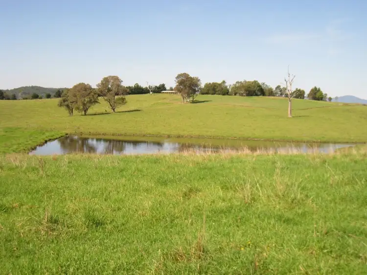 Main view of Homely rural property listing, 348 Wandella Rd, Cobargo NSW 2550