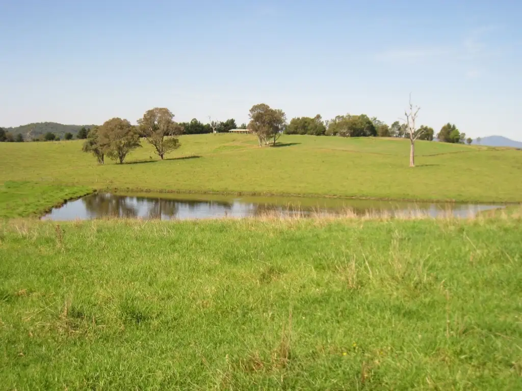 Main view of Homely rural property listing, 348 Wandella Rd, Cobargo NSW 2550