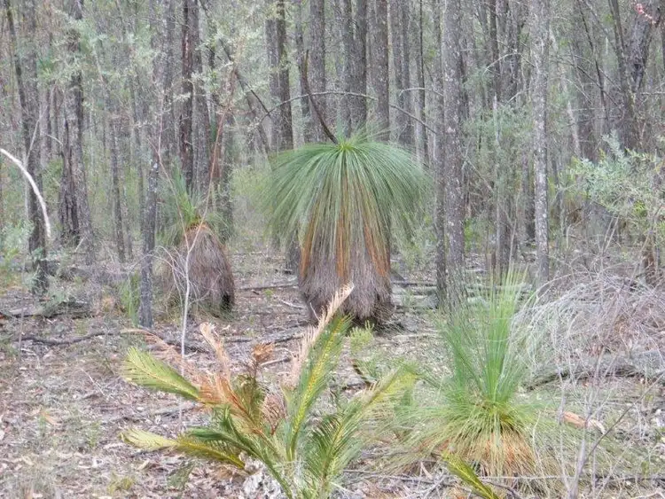 Seventh view of Homely land listing, Lot 6 Premer, Premer NSW 2381