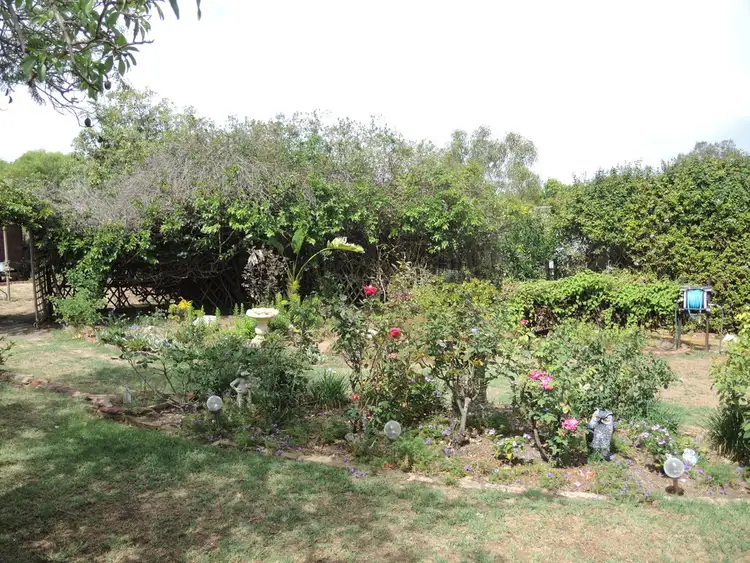 Seventh view of Homely house listing, 11 Carter Street, Rangeway WA 6530