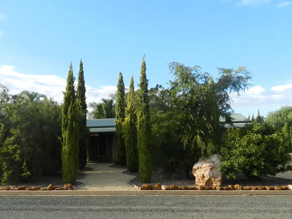 Main view of Homely house listing, 6 Tschirpig Lane, Lyrup SA 5343