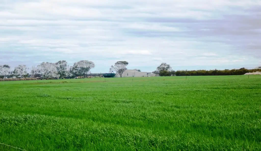 Main view of Homely rural property listing, 747 Grant- Williams Road, Newdegate WA 6355