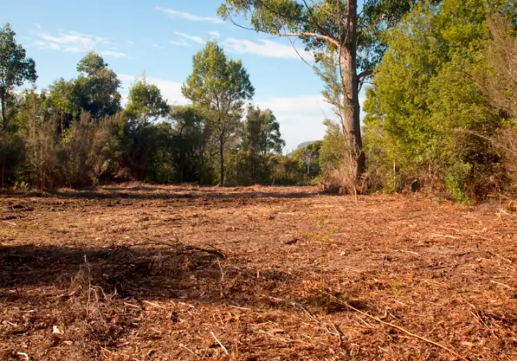 Seventh view of Homely land listing, Lot 1 / 23 Coolangatta Rd AdventureBay, Bruny Island TAS 7150