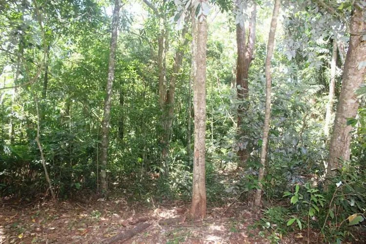 Fifth view of Homely land listing, 195 Bloodwood Road COW BAY, Daintree QLD 4873