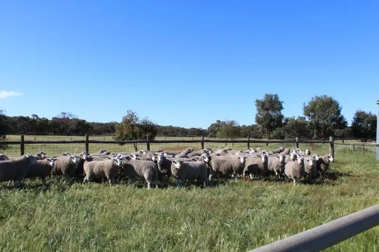 Fifth view of Homely rural property listing, 1 Wattle Range Road, Millicent SA 5280