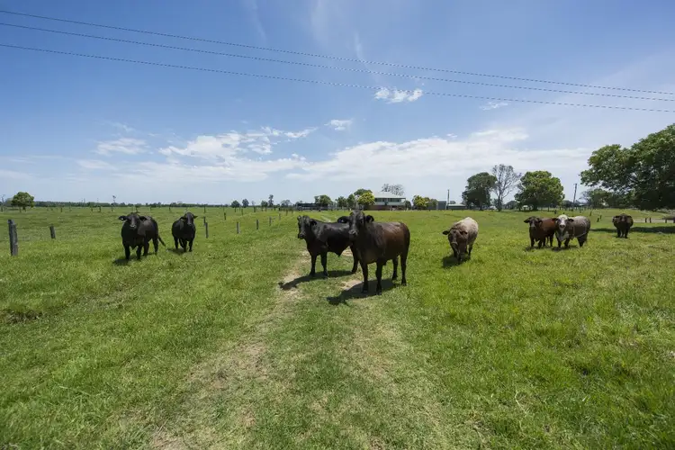 Second view of Homely rural property listing, 986 Lawrence Road, Southgate NSW 2460