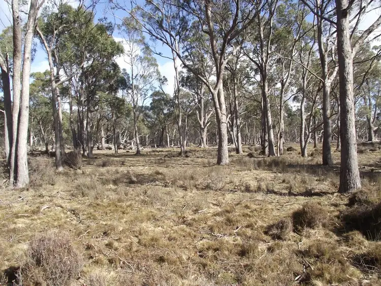 Third view of Homely rural property listing, . Silver Plains Road, Interlaken TAS 7030