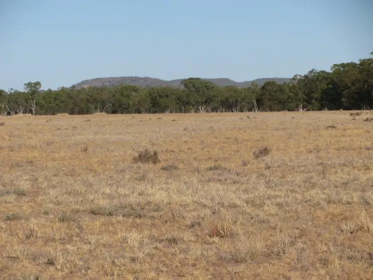 Sixth view of Homely rural property listing, 81 Yarranabee Rd, Baan Baa NSW 2390