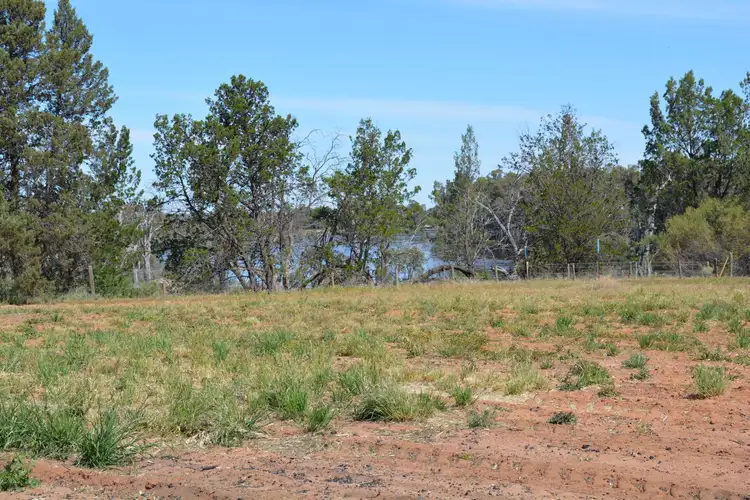 Sixth view of Homely rural property listing, Lot 1 464B River Road, Coomealla NSW 2717
