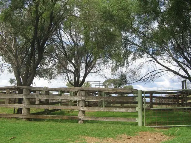 Second view of Homely rural property listing, "Longview" Attunga, Attunga NSW 2345