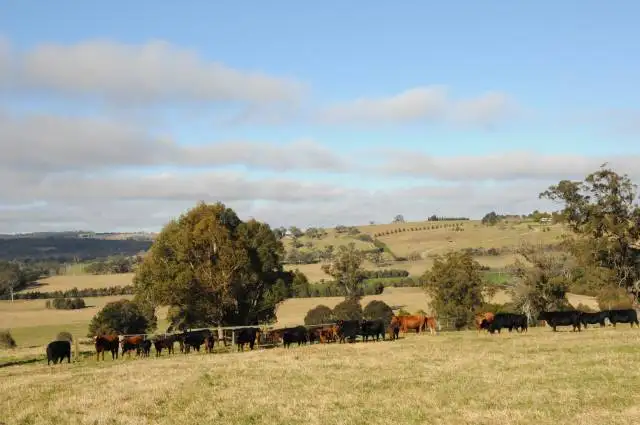 Second view of Homely rural property listing, 79 Spring Hill Road, Mittagong NSW 2575