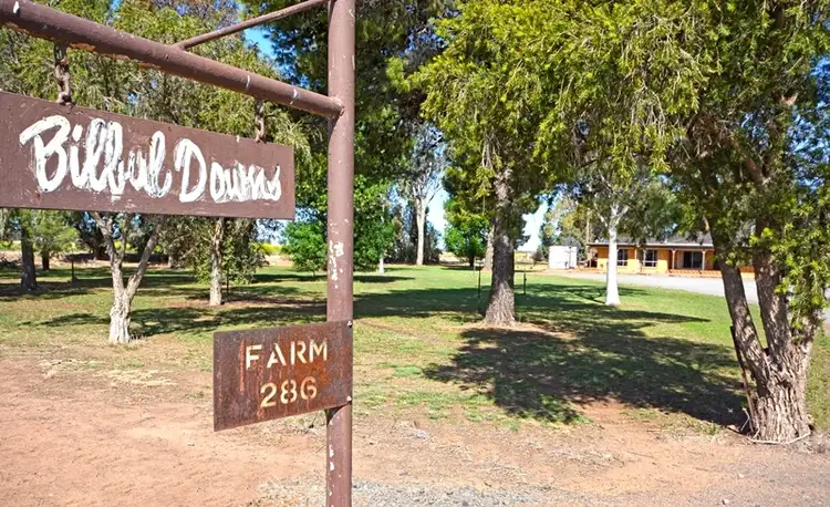 Second view of Homely house listing, 286 Hamilton Road, Bilbul NSW 2680