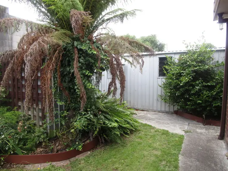 Fifth view of Homely house listing, 65 Lovett Street, Devonport TAS 7310