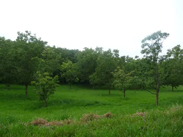 Second view of Homely land listing, 391 Dr Pages Road, Kin Kin QLD 4571