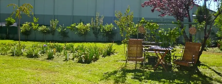 Sixth view of Homely house listing, 13 Robertson St, Coonabarabran NSW 2357