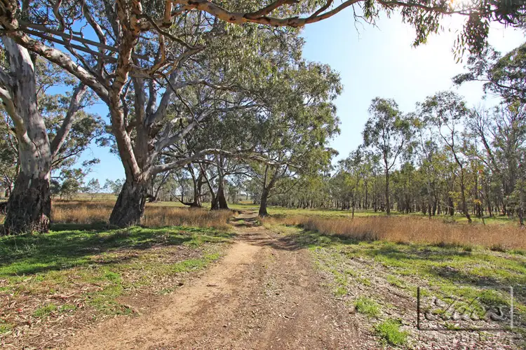 Sixth view of Homely rural property listing, 46 Gerber Court, Bagshot VIC 3551