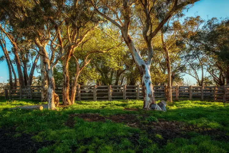 Second view of Homely rural property listing, 189 HILLYFIELDS ROAD, Meadows SA 5201