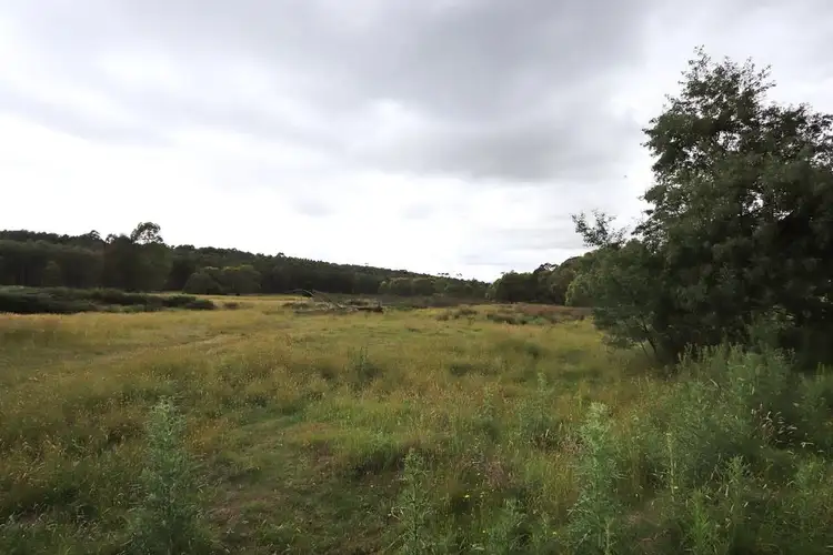 Second view of Homely land listing, 537 Broadleaf Park Road, Rosewood NSW 2652