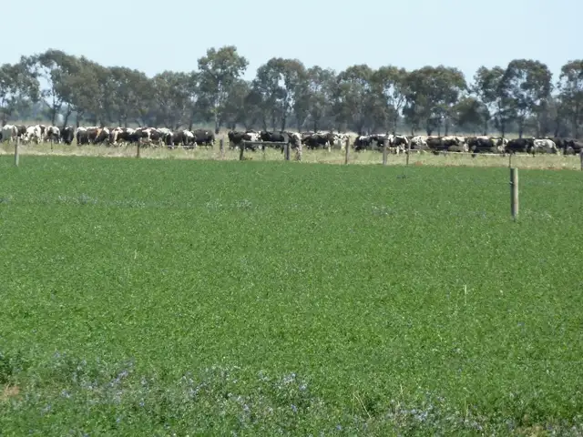 Main view of Homely rural property listing, 1411 Lowrie Road, Bamawm VIC 3561